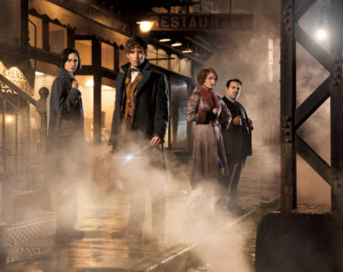 Katherine Waterston, Eddie Redmayne, Alison Sudol, and Dan Fogler in Fantastic Beasts and Where to Find Them (2016_